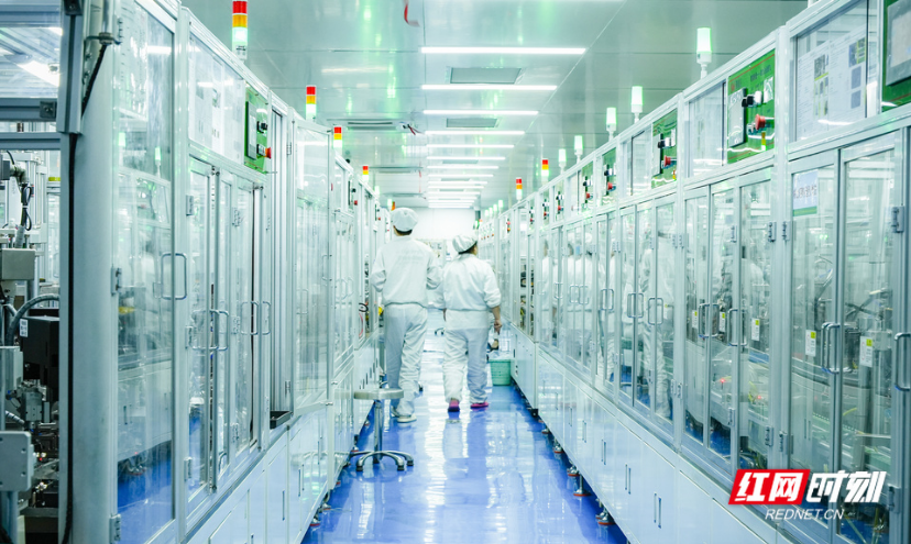 车间里的雁城“智变”①|三易精工：给拇指大的“神经开关” 配上“智能大脑”