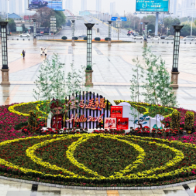 衡州年味｜珠晖区：鲜花“灯笼”扮靓高铁衡阳东站广场