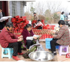 新春走基层 | 衡阳县紫苏酱“香”飘春节：老滋味变身年货“新宠”