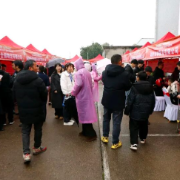 精准匹配,“逆向”揽才!衡南县举行2026年“春风行动”高新区专场招聘活动