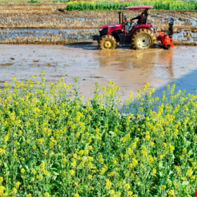 湖南衡东：千亩示范片“领绘”春耕备耕图