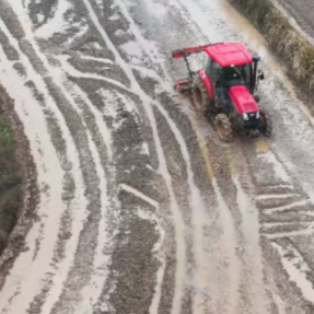 衡山县长江镇召开2026年度早稻生产现场观摩会