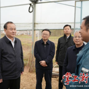 朱健赴耒阳市调研春耕春种及秸秆综合利用工作