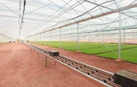 智慧育秧抢农时 衡南打造省级农事服务新标杆