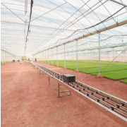 智慧育秧抢农时 衡南打造省级农事服务新标杆