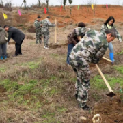 湖南耒阳:绿遍山原万木春