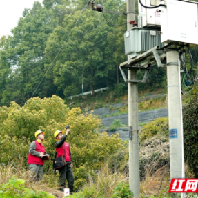 国网衡阳供电公司:助力茶旅融合 激活春日经济