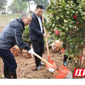 植绿添绿正当时 雁峰区开展义务植树活动