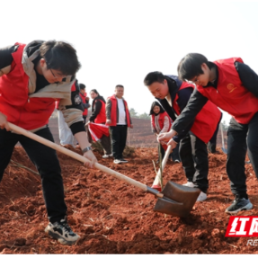 衡阳县税务局:践行雷锋精神 传递税务温情