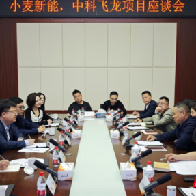 衡阳高新区召开小麦新能、中科飞龙项目座谈会