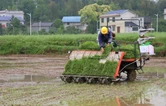 农机轰鸣忙插秧！衡山县17.63万亩早稻抢农时、提效率，田间奏响春耕“奋进曲”