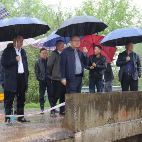 衡山县:实地督导高标准农田建设及问题整改