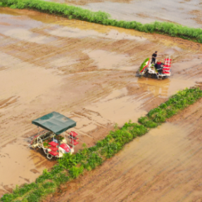 组图|湖南祁东:机械化插秧助春耕