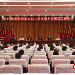 衡阳县召开2026年基本公共卫生服务与乡村振兴工作会议