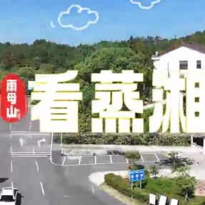 新消费 看蒸湘丨赏古韵 享清闲 来蒸湘赴一场非遗之约吧！