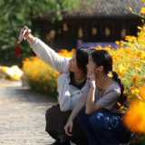 10.6小观察丨 返程小高峰来临 旅游市场迎来“降温”