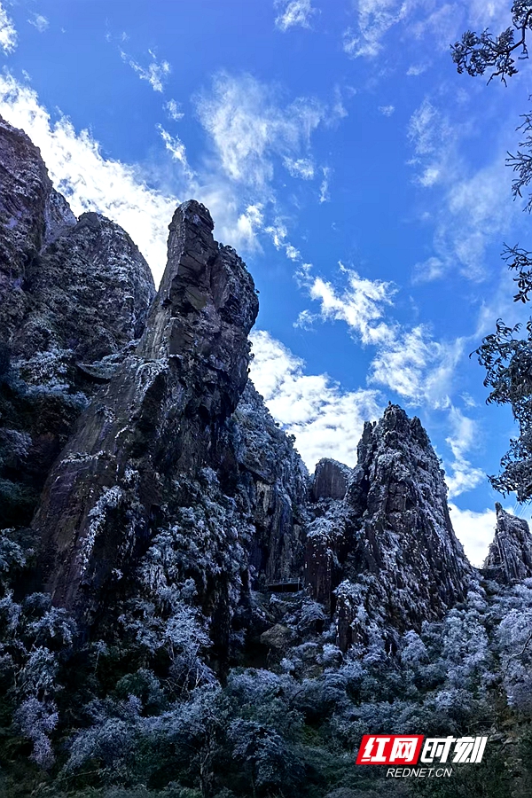 莽山五指峰雪景图片