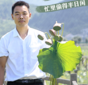 有声海报丨 金中荷园:赏荷、戏水、乘凉 忙里偷得半日闲