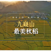 视频丨九嶷山的秋：“十里稻田”美如画卷