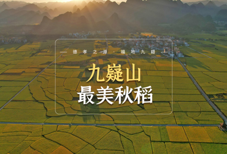 视频丨九嶷山的秋：“十里稻田”美如画卷