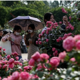 这么近·那么美丨“五一”好去处，湖南省植物园繁花引客来