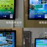 红网千屏联播郴州旅游形象宣传“四美”征集结果
