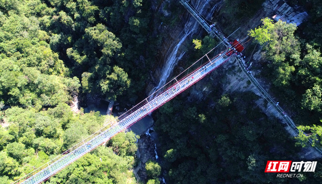 DJI_0616.png