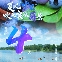 洪江市夏季乡村文旅节丨倒计时4天：夏风“十里” 吹来良辰“莓”景