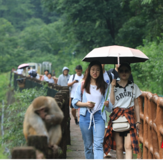 端午小观察②丨细雨挡不住出游热情 湖南接待游客超153万人次