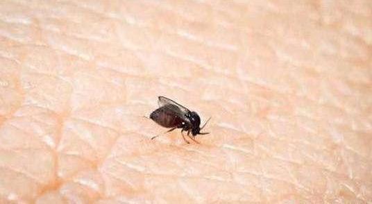 QQ图片20220517110713.jpg QQ图片20220517110713.jpg