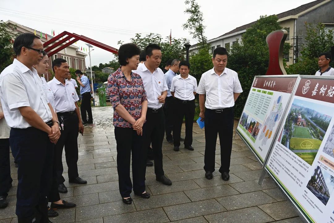 黄兰香一行前往株洲醴陵市东富镇莲石村，查看了牛丫洪电站和湘赣边示范河段莲石段灾后重建工作，并前往醴陵市嘉树镇嘉树村，调研同心美丽乡村创建工作。