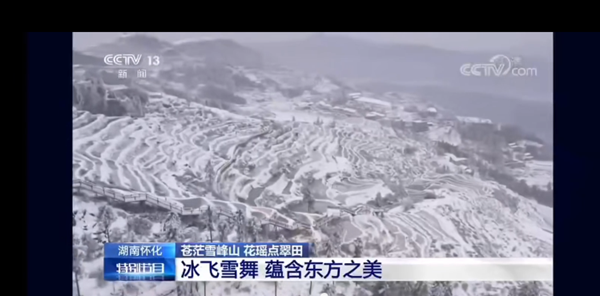 山背1.png 山背1.png