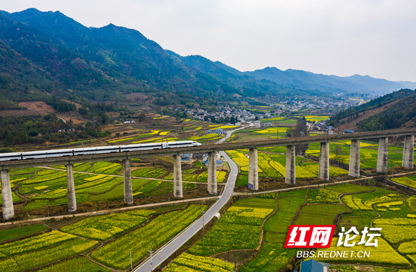 油菜花7.png 油菜花7.png