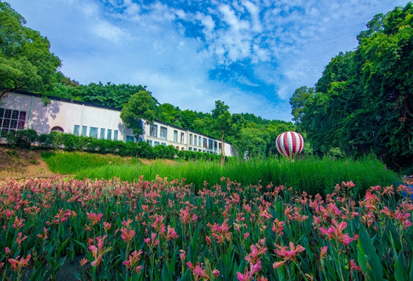 种草，种草！园中园，湖南省植物园里藏着一个“童话世界”
