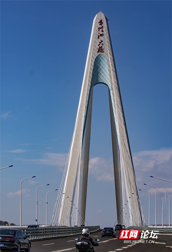 91.jpg