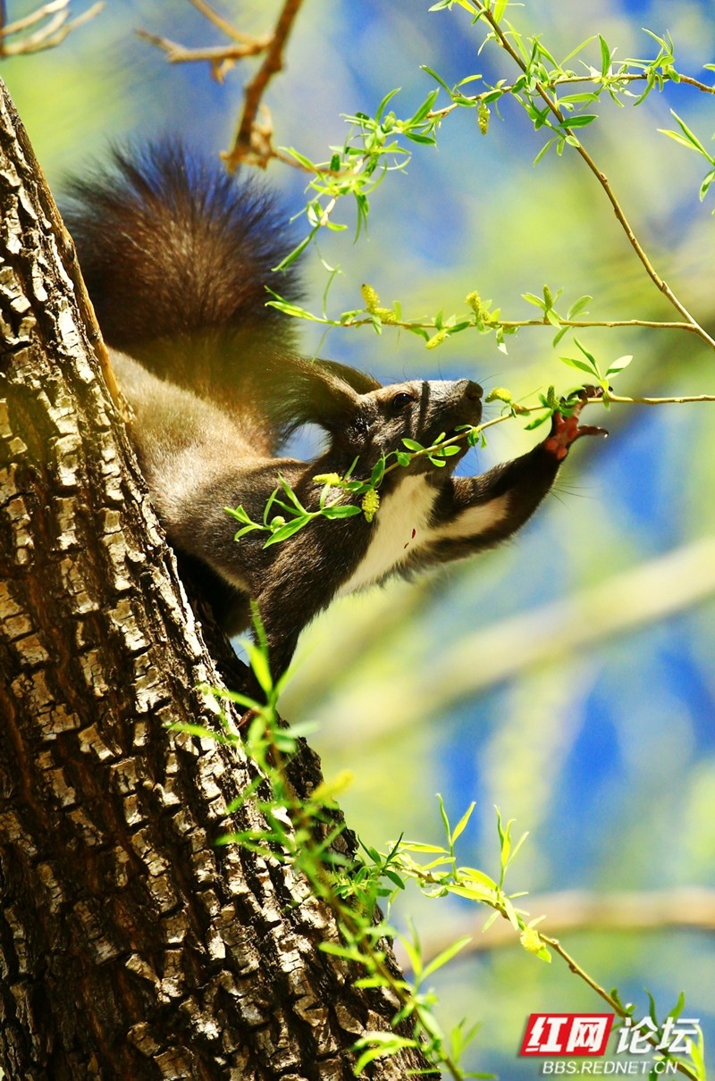 wm - 2025-03-25T152539.456.jpg