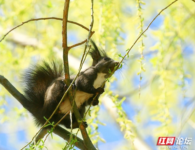 wm - 2025-03-25T152516.124.jpg