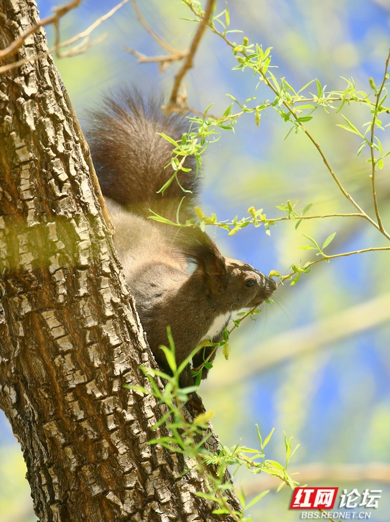 wm - 2025-03-25T152527.757.jpg