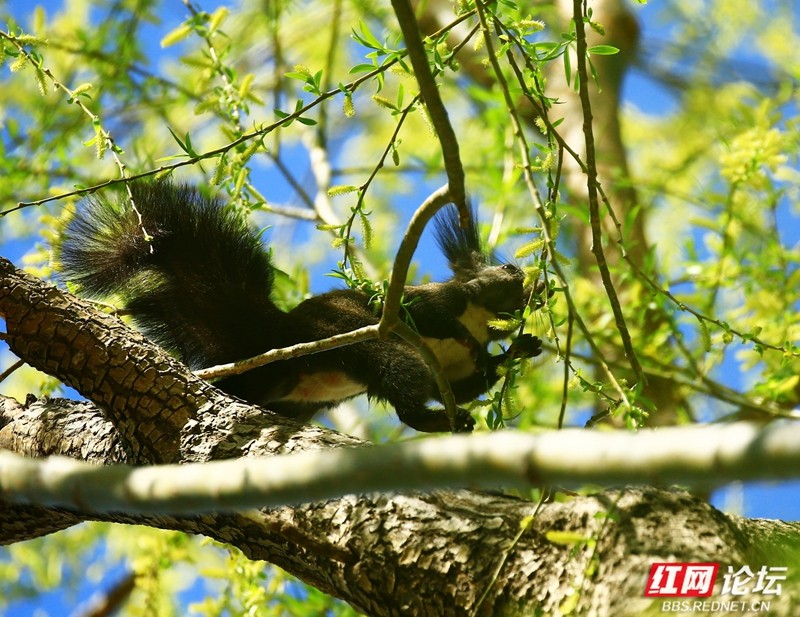 wm - 2025-03-25T152521.433.jpg