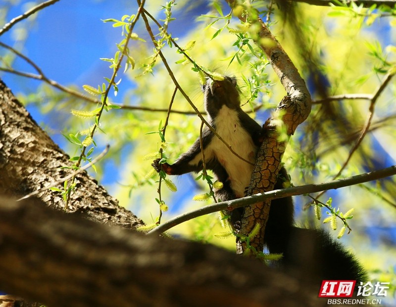 wm - 2025-03-25T152524.566.jpg