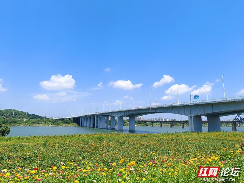 wm - 2025-05-06T152507.083.jpg wm - 2025-05-06T152507.083.jpg