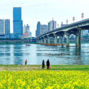三十年前后湘江株洲段照片对比：株洲湘江风光带已成城区守护堤
