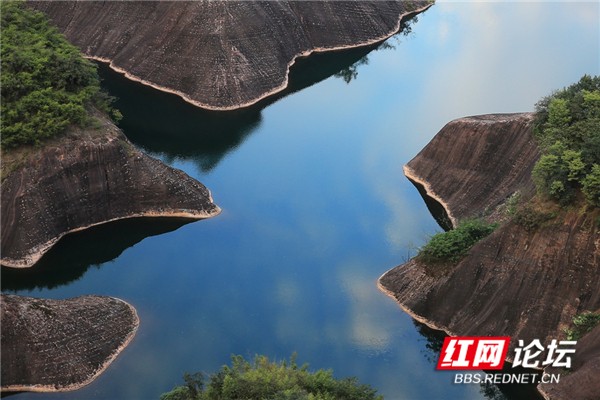 000503nzrb55ogxbtzqmys (1).jpg