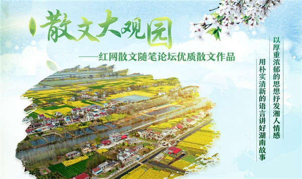 大图_毒霸看图_副本.jpg