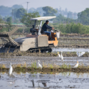 【每日一图@湖南】农业现代化助力乡村振兴！谷雨时节，田间处处机器轰鸣