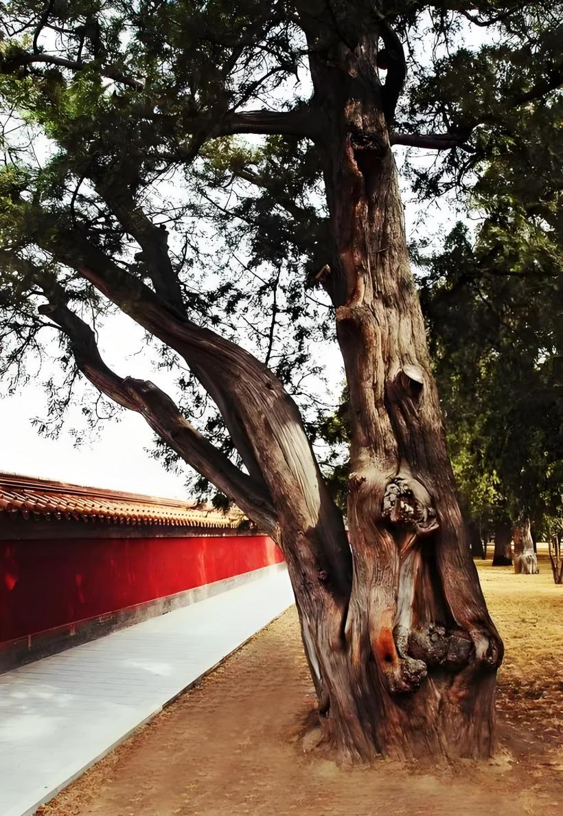 753284710f1e45698535bcc641d0371a.jpg 753284710f1e45698535bcc641d0371a.jpg