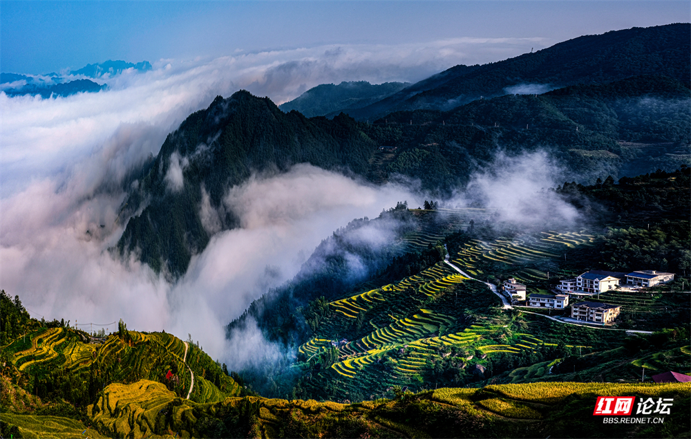 《山背梯田云海 》 邓太平  摄.jpg