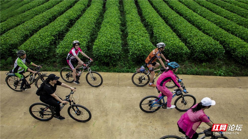 nEO_IMG_微信图片_2025-06-29_204205_294.jpg nEO_IMG_微信图片_2025-06-29_204205_294.jpg