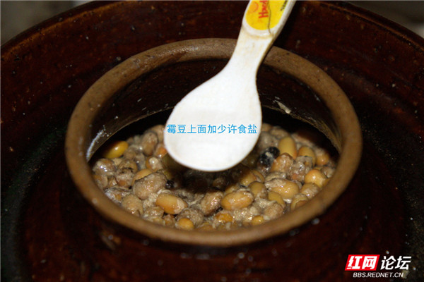 8_副本1.jpg