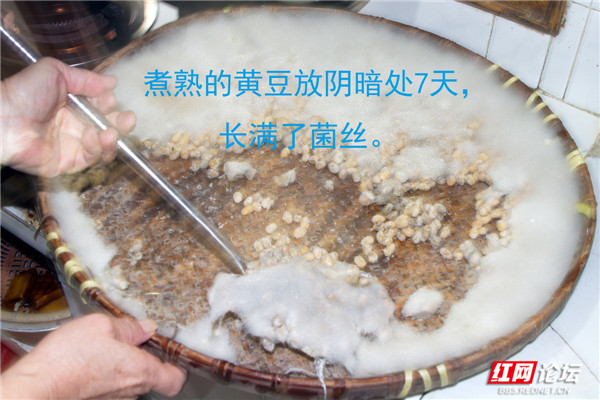 2_副本1.jpg